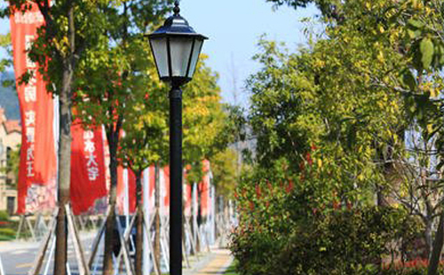 装新城镇庭院灯避坑指南:庭院路灯防雷接地要点 装新城镇庭院灯避坑指南:庭院路灯防雷接地要点